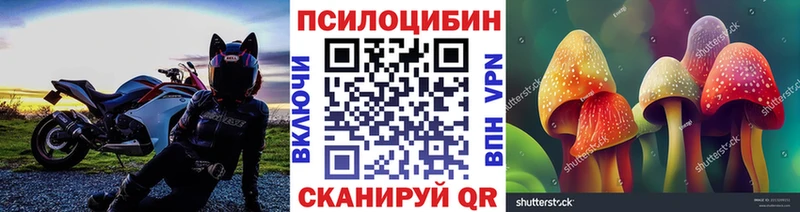 Псилоцибиновые грибы ЛСД Печоры